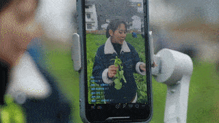 富硒苦荞茶云硒(富硒苦荞茶的副作用)-硒宝网