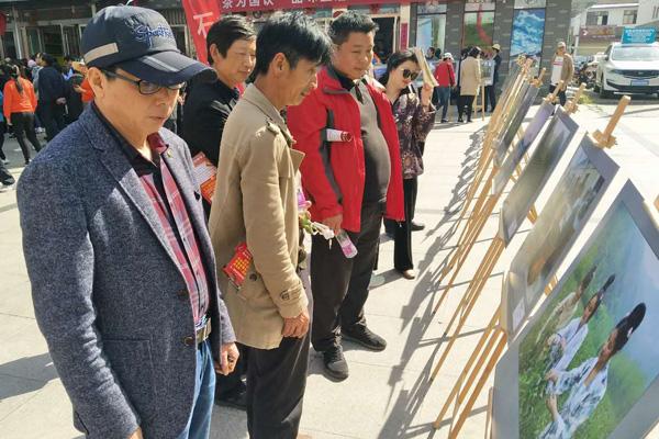 石台野生富硒茶（石台特产富硒茶价格）-硒宝网