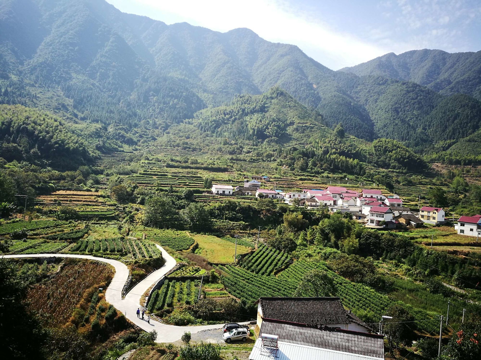 石台野生富硒茶（石台富硒野茶多少钱一斤）-硒宝网