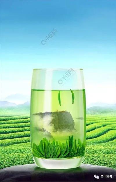 日照有机富硒茶（日照富硒绿茶）-硒宝网