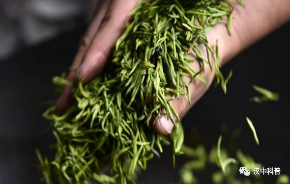 日照有机富硒茶（日照富硒绿茶）-硒宝网