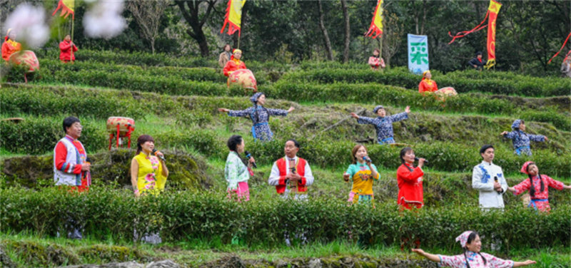 石台富硒茶企业（石台富硒茶叶）-硒宝网