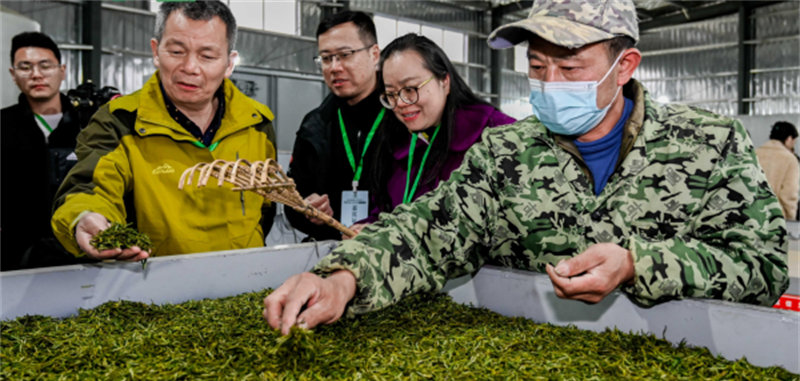 石台富硒茶企业（石台富硒茶叶）-硒宝网