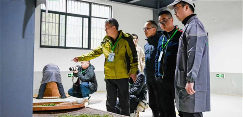 石台富硒茶企业（石台富硒茶叶）-硒宝网