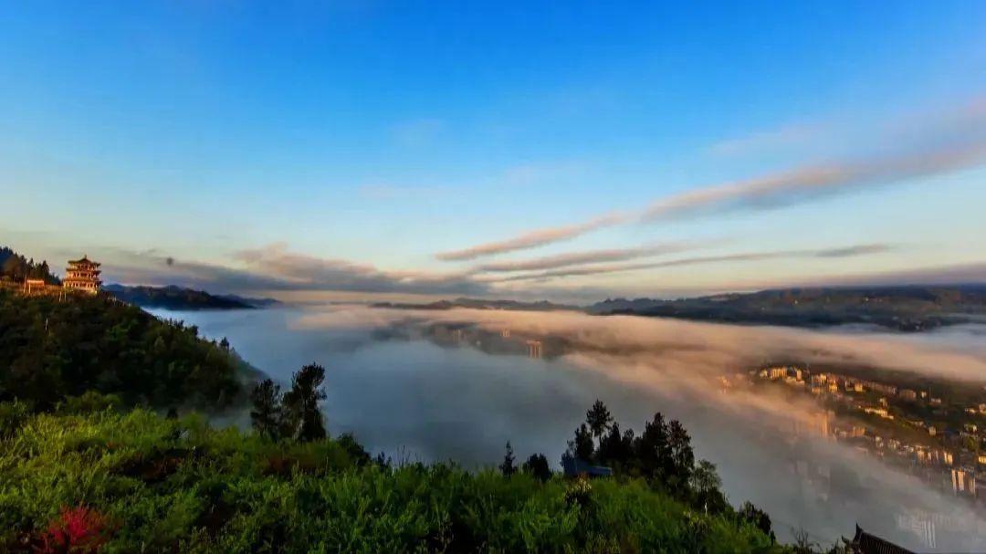 安徽养生富硒茶（安徽富硒茶产地）-硒宝网