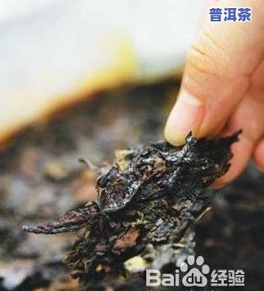 安徽富硒茶直播(安徽富硒茶业有限公司)-硒宝网