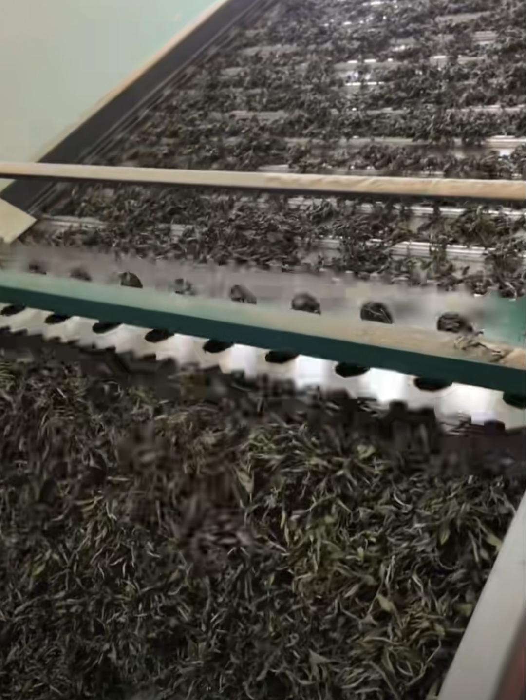 原始富硒手工茶（原生茶业富硒茶）-硒宝网