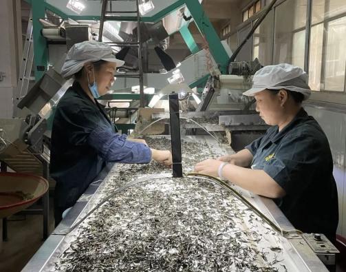 原始富硒手工茶（原生茶业富硒茶）-硒宝网