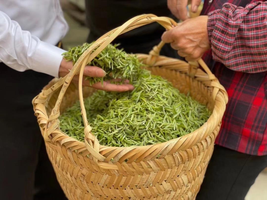 原始富硒手工茶（原生茶业富硒茶）-硒宝网