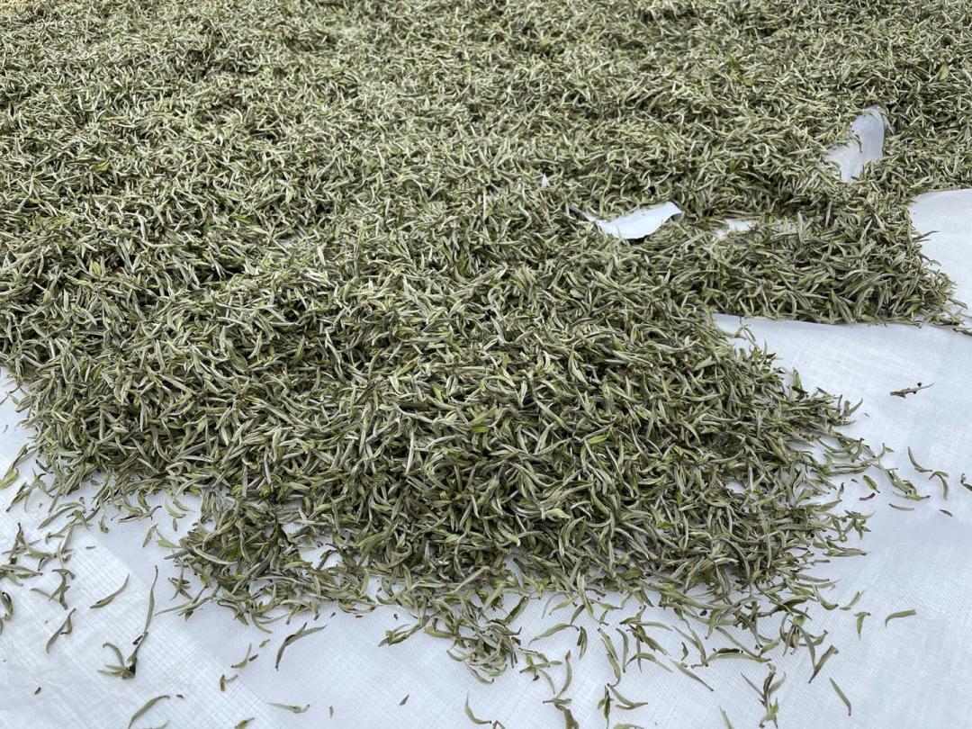 原始富硒手工茶（原生茶业富硒茶）-硒宝网