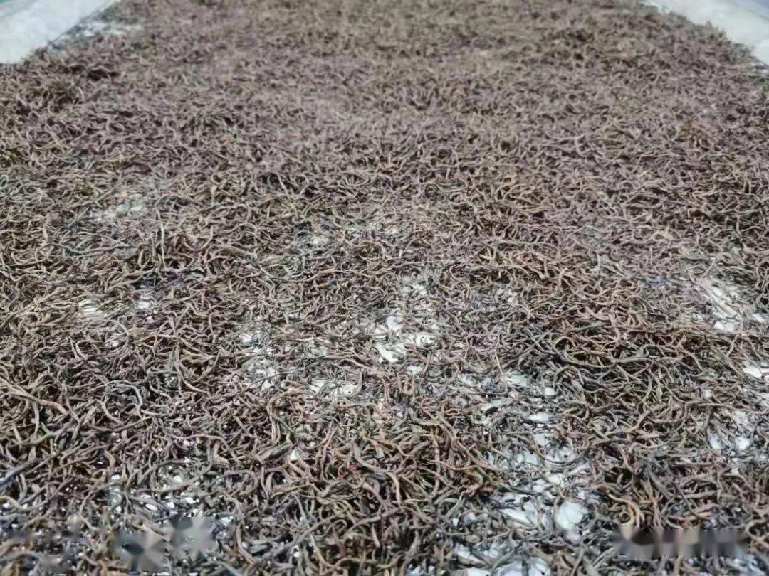 紫阳富硒茶机遇(紫阳富硒茶红茶礼盒)-硒宝网