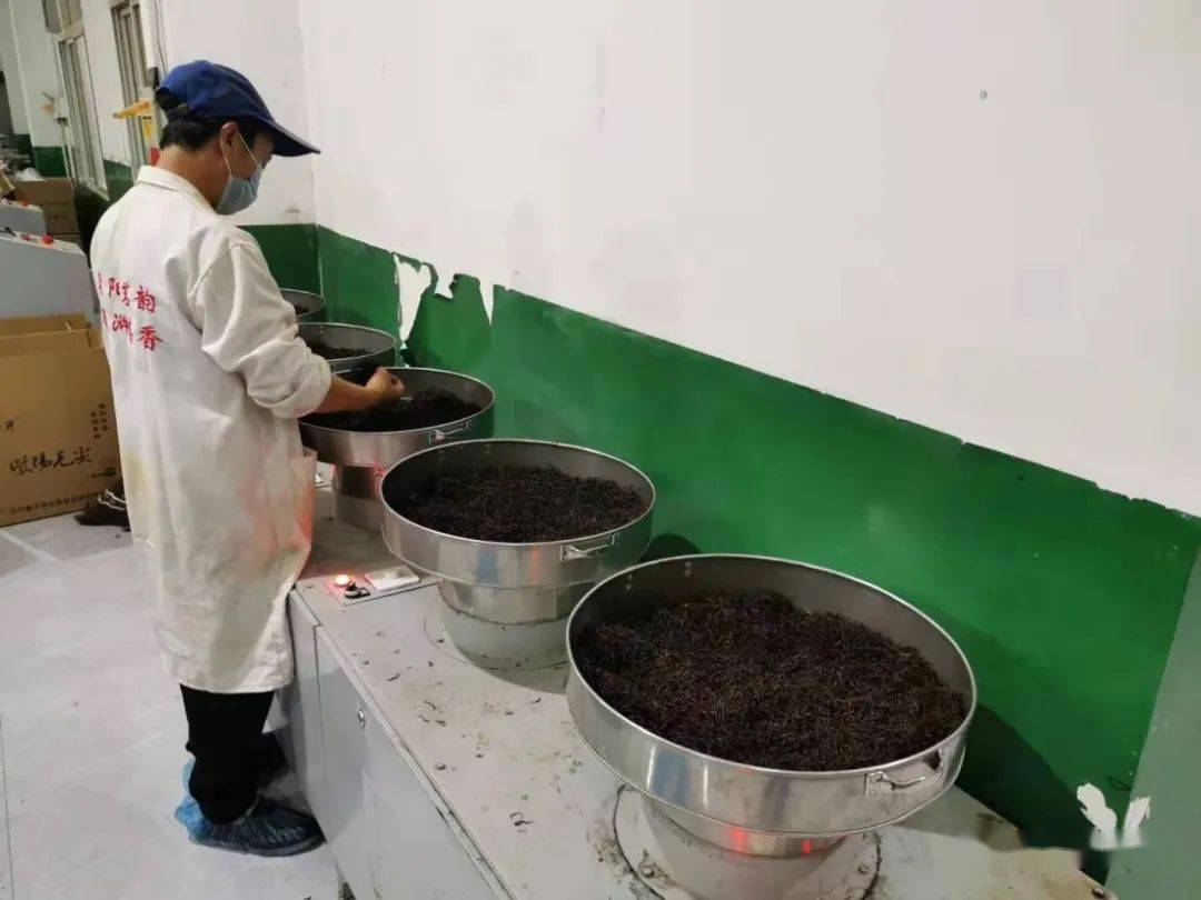 紫阳富硒茶机遇(紫阳富硒茶红茶礼盒)-硒宝网