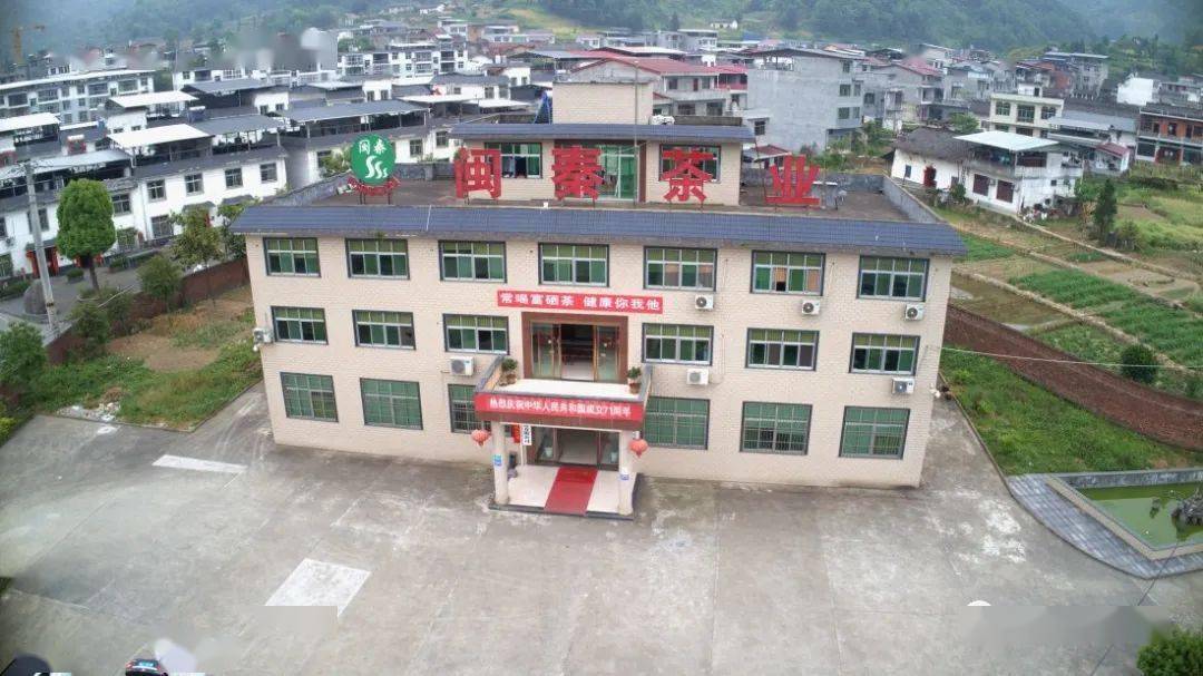 紫阳富硒茶机遇(紫阳富硒茶红茶礼盒)-硒宝网