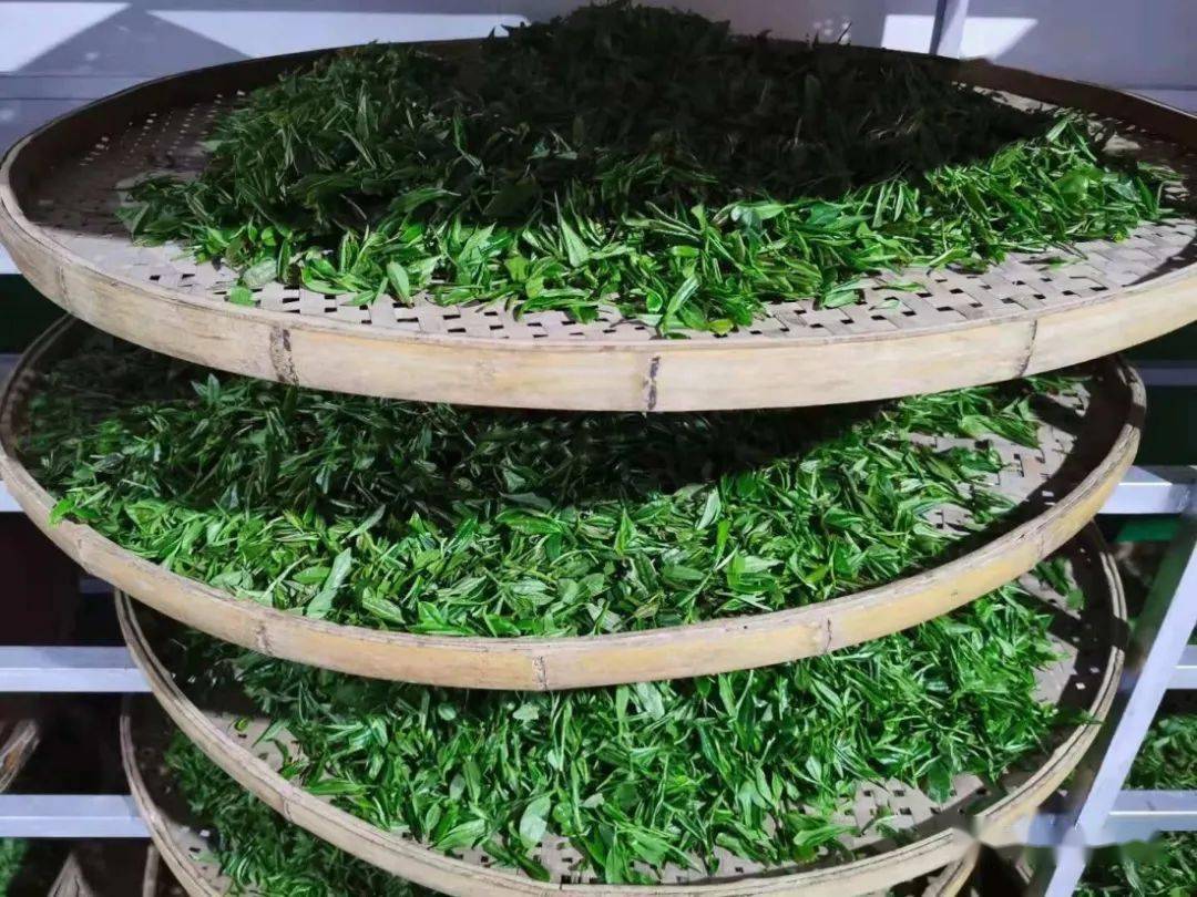 紫阳富硒茶机遇(紫阳富硒茶红茶礼盒)-硒宝网