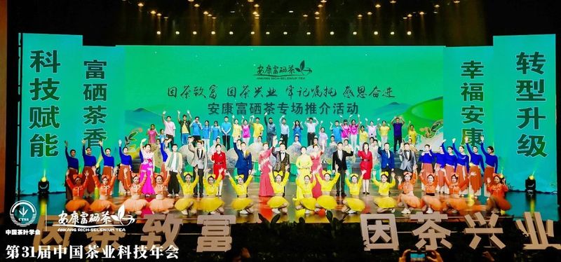 紫阳富硒茶展示(紫阳富硒茶叶)-硒宝网