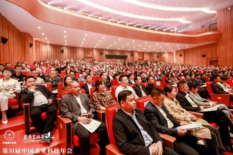 紫阳富硒茶展示(紫阳富硒茶叶)-硒宝网