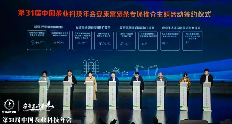 紫阳富硒茶展示(紫阳富硒茶叶)-硒宝网