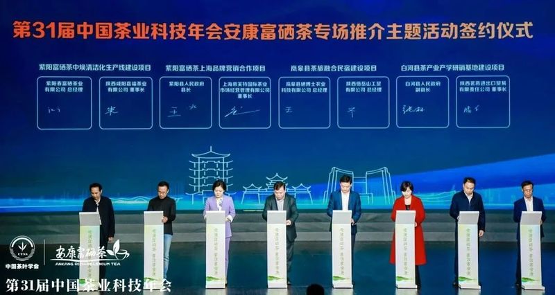 紫阳富硒茶展示(紫阳富硒茶叶)-硒宝网