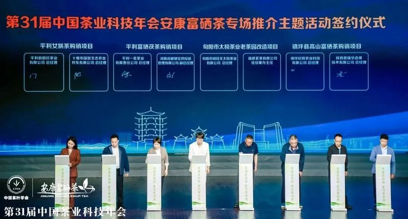 紫阳富硒茶展示(紫阳富硒茶叶)-硒宝网