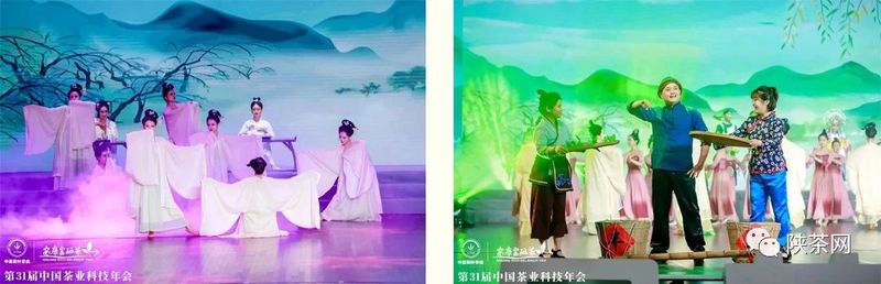 紫阳富硒茶展示(紫阳富硒茶叶)-硒宝网