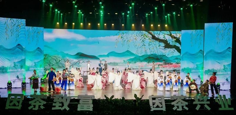 紫阳富硒茶展示(紫阳富硒茶叶)-硒宝网