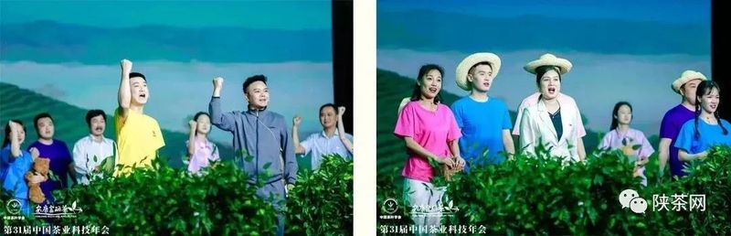 紫阳富硒茶展示(紫阳富硒茶叶)-硒宝网