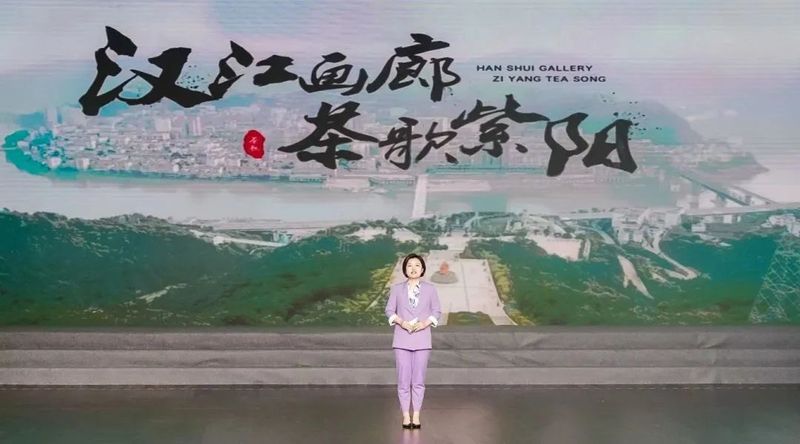 紫阳富硒茶展示(紫阳富硒茶叶)-硒宝网