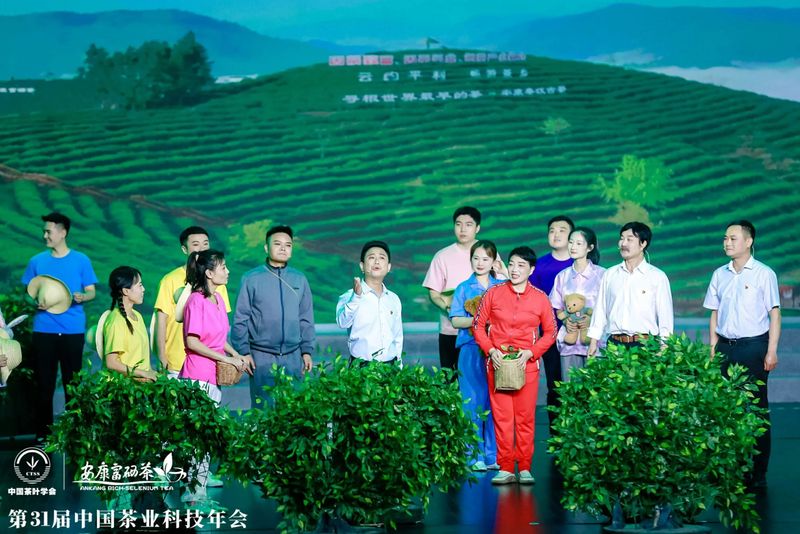 紫阳富硒茶展示(紫阳富硒茶叶)-硒宝网