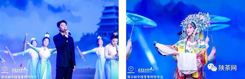 紫阳富硒茶展示(紫阳富硒茶叶)-硒宝网