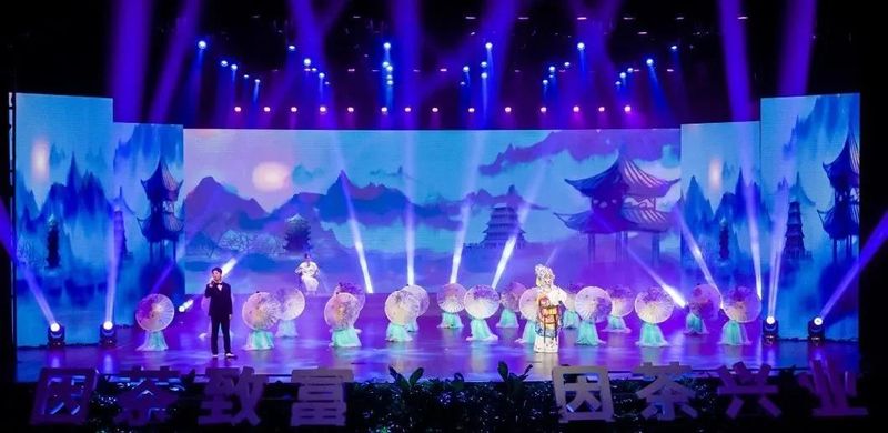 紫阳富硒茶展示(紫阳富硒茶叶)-硒宝网