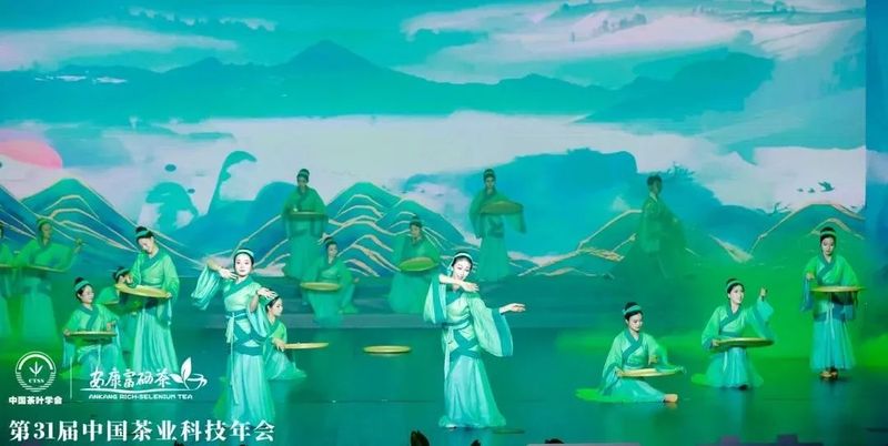 紫阳富硒茶展示(紫阳富硒茶叶)-硒宝网