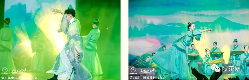 紫阳富硒茶展示(紫阳富硒茶叶)-硒宝网