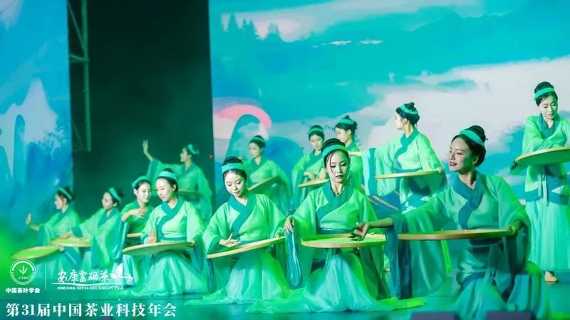 紫阳富硒茶展示(紫阳富硒茶叶)-硒宝网