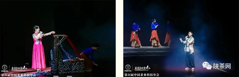 紫阳富硒茶展示(紫阳富硒茶叶)-硒宝网