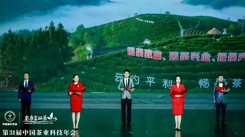 紫阳富硒茶展示(紫阳富硒茶叶)-硒宝网