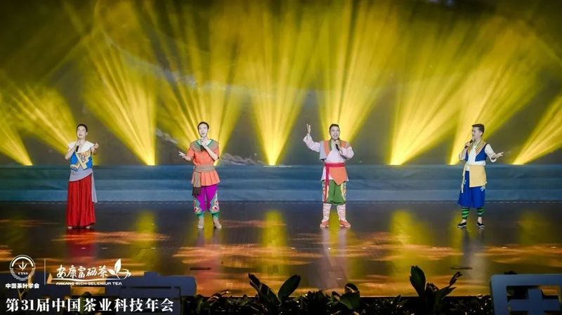 紫阳富硒茶展示(紫阳富硒茶叶)-硒宝网