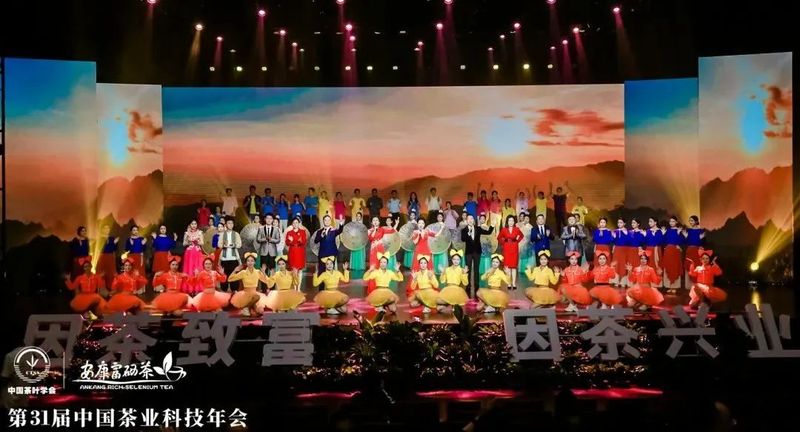 紫阳富硒茶展示(紫阳富硒茶叶)-硒宝网