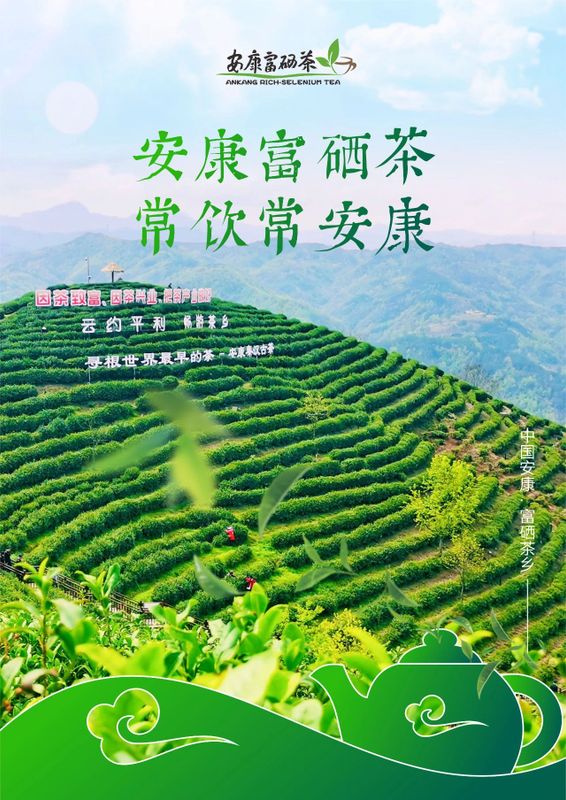 紫阳富硒茶展示(紫阳富硒茶叶)-硒宝网