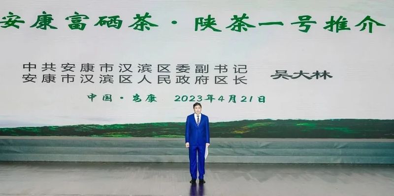 紫阳富硒茶展示(紫阳富硒茶叶)-硒宝网