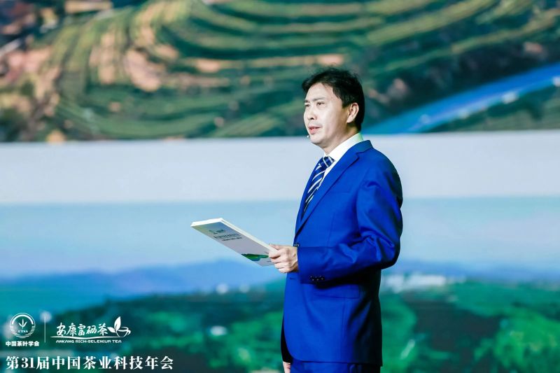 紫阳富硒茶展示(紫阳富硒茶叶)-硒宝网