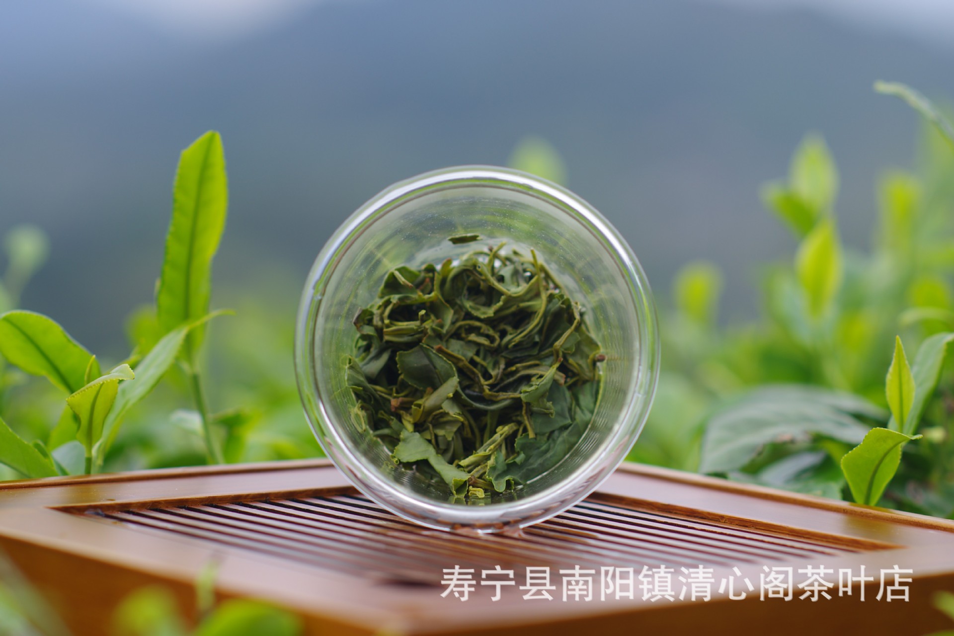 中国高山富硒茶(高山富硒茶属于什么茶)-硒宝网