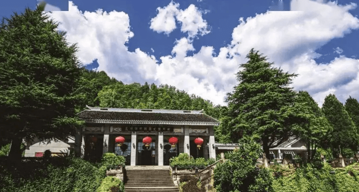 达州富硒茶介绍(四川达州茶叶名称及价格)-硒宝网