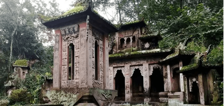 达州富硒茶介绍(四川达州茶叶名称及价格)-硒宝网