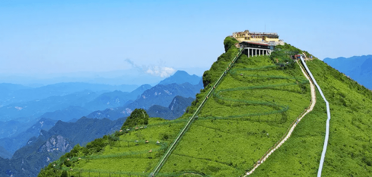 达州富硒茶介绍(四川达州茶叶名称及价格)-硒宝网