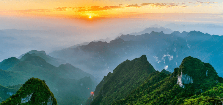 达州富硒茶介绍(四川达州茶叶名称及价格)-硒宝网