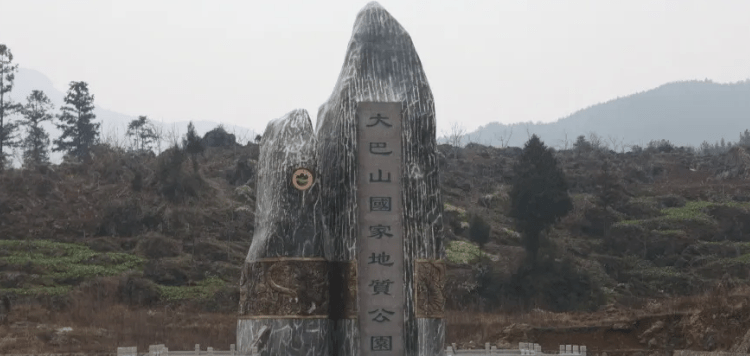 达州富硒茶介绍(四川达州茶叶名称及价格)-硒宝网