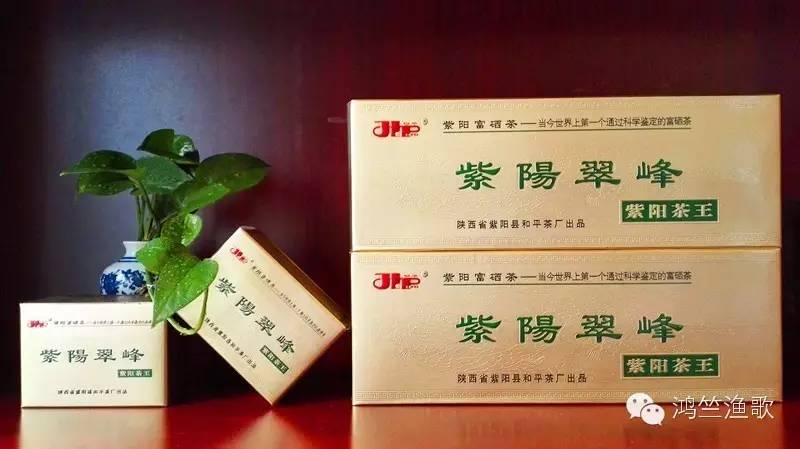 紫阳富硒茶题词(紫阳富硒茶焕古茶价格)-硒宝网