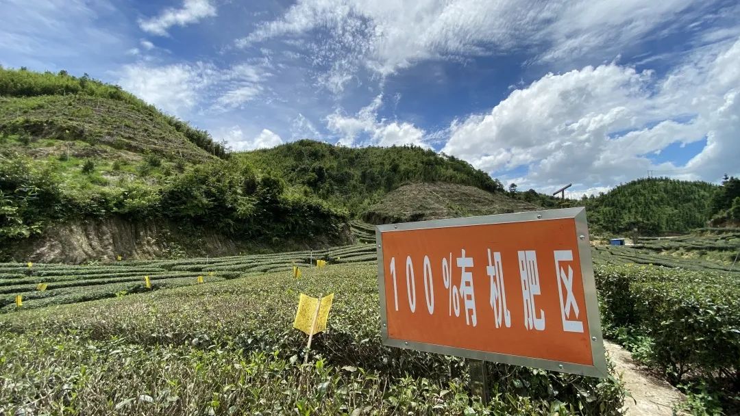 富硒茶品牌建设（富硒茶园）-硒宝网