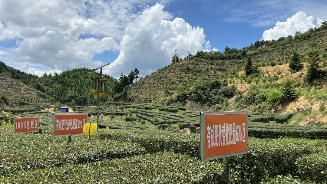 富硒茶品牌建设（富硒茶园）-硒宝网