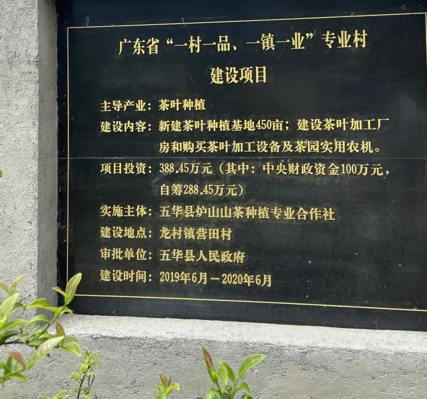 富硒茶品牌建设（富硒茶园）-硒宝网